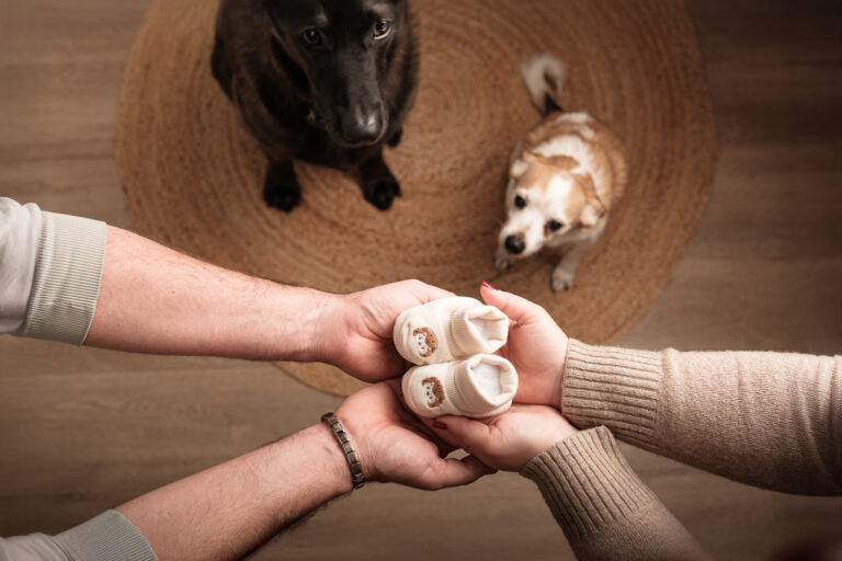 Dicembre, l’amore che mi circonda